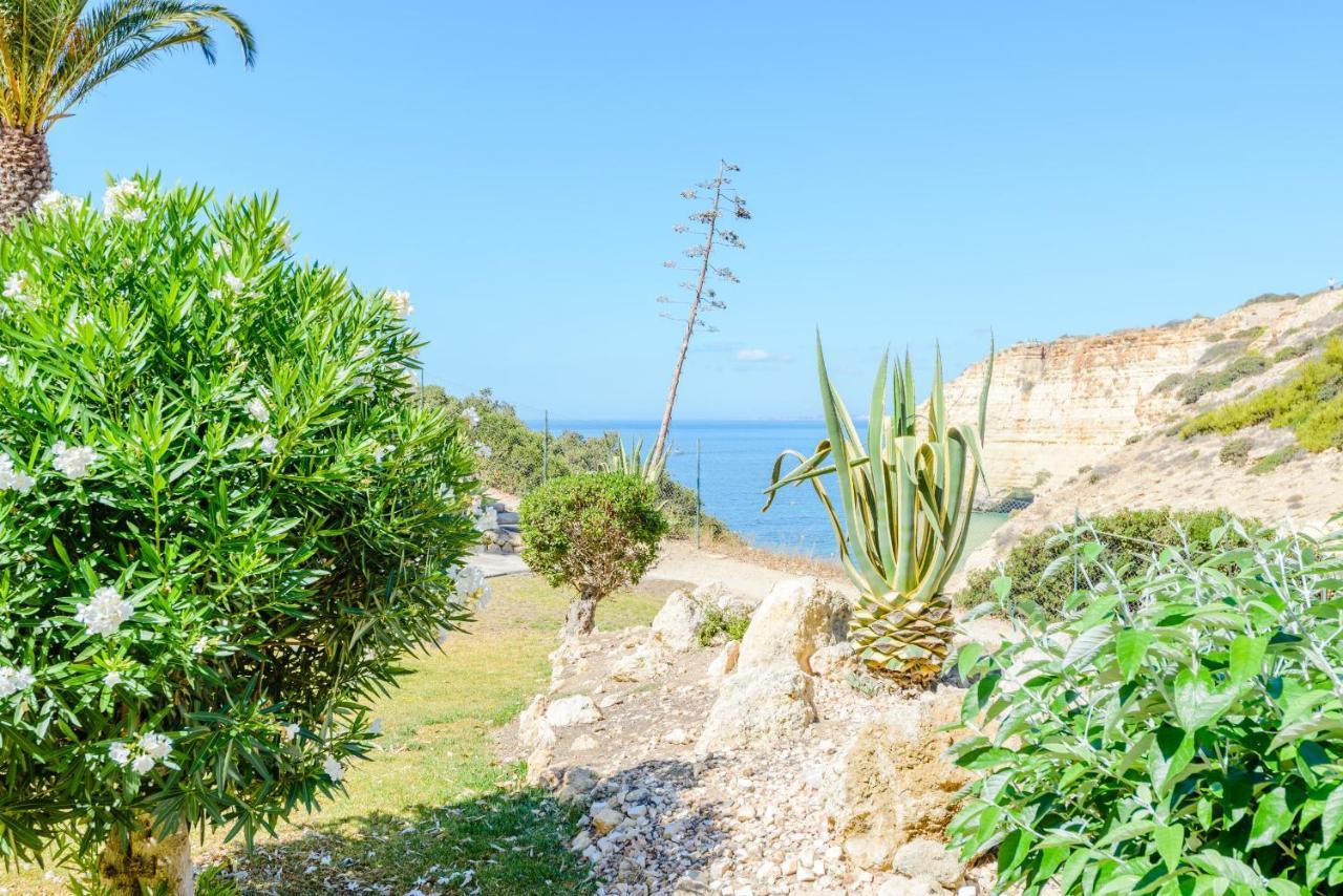 The Little Paradise With Sea Views Карвоейро Екстериор снимка